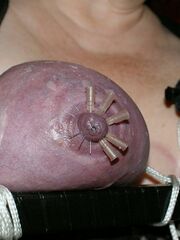 breast bdsm devices